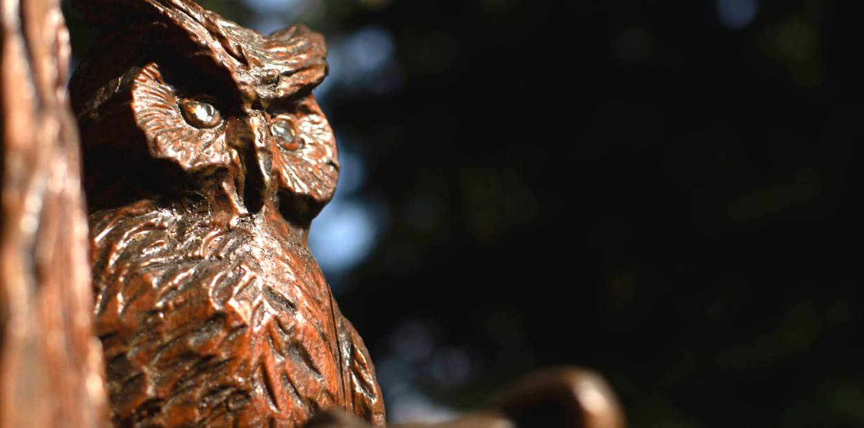 Owl carved into a tree sculpture